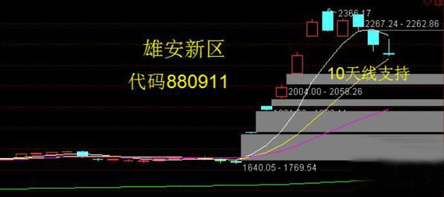 600230股票最新消息深度解读