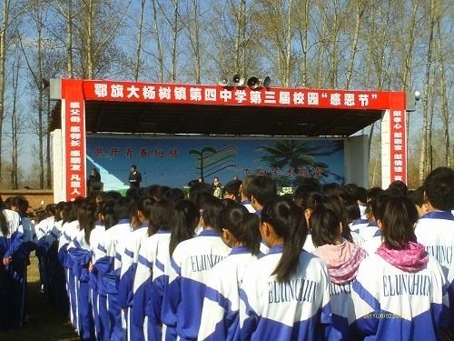 大杨树贴吧最新更新，繁荣的线上社交互动平台