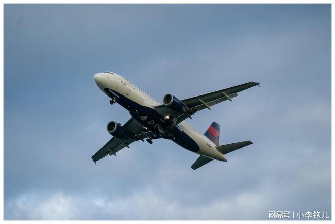 达美航空最新航班动态揭秘，八月旅行绝佳之选